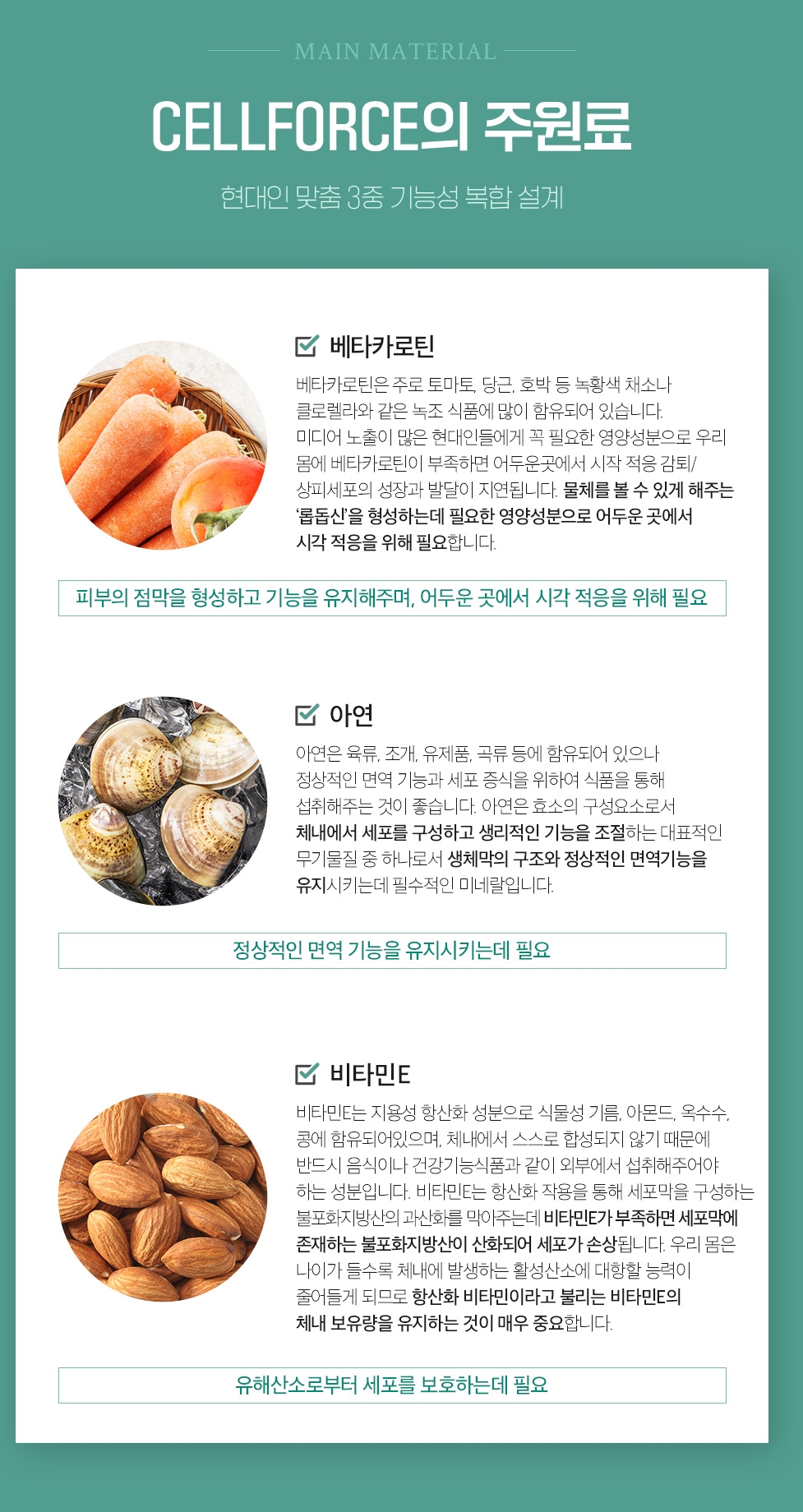상세이미지 #2