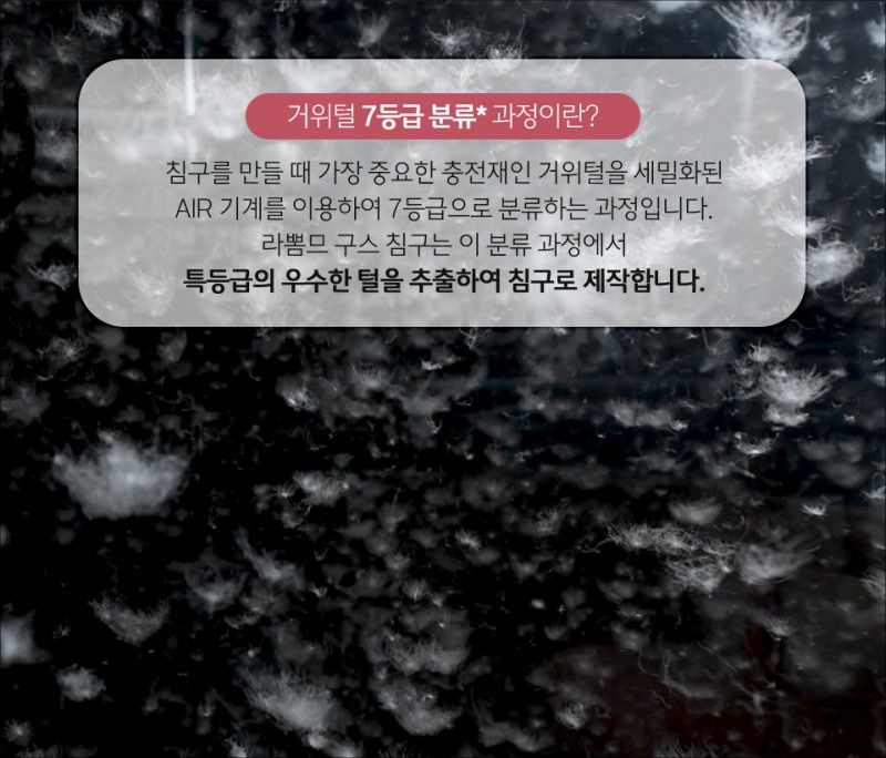 상세이미지 #11